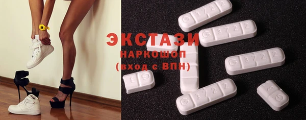 хмурый Аркадак