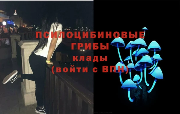 мяу мяу мука Арсеньев