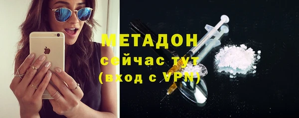 хмурый Аркадак