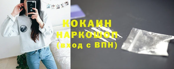 хмурый Аркадак