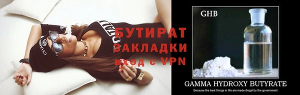 хмурый Аркадак