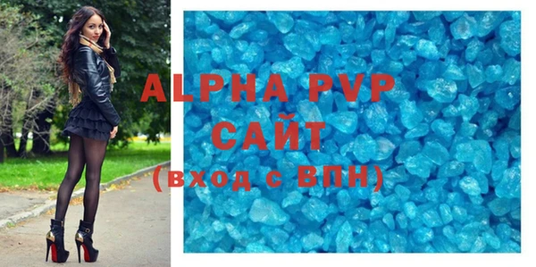 хмурый Аркадак