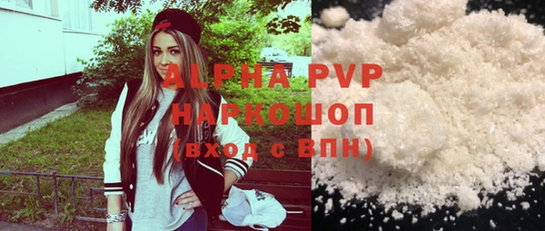 хмурый Аркадак