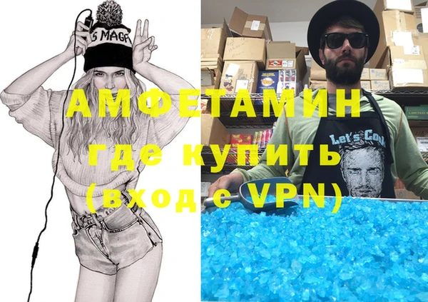 хмурый Аркадак