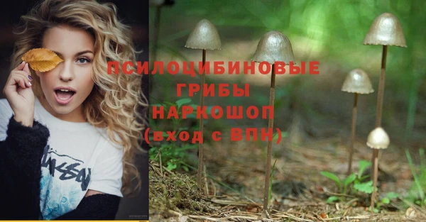 мяу мяу мука Арсеньев