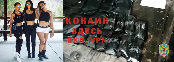 мяу мяу мука Арсеньев