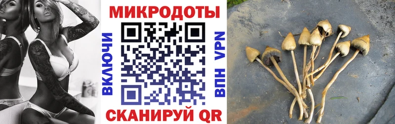 Псилоцибиновые грибы Psilocybe hydra Среднеколымск